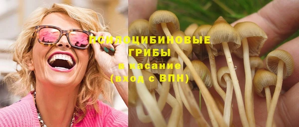 PSILOCYBIN Мегион