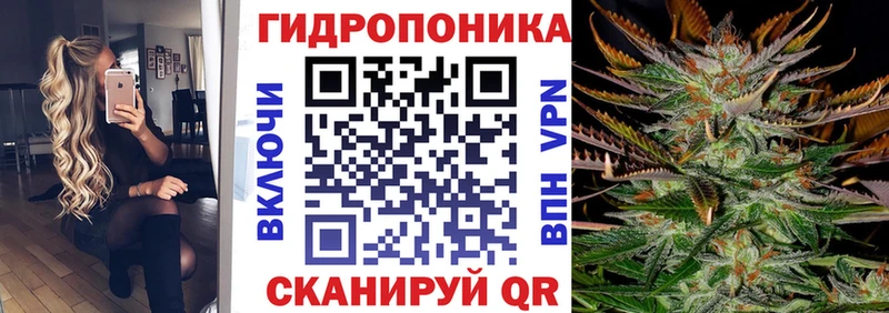 Бошки марихуана AK-47  купить наркотики цена  Мурманск 